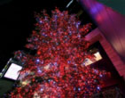 Christmas Wallpapers 181